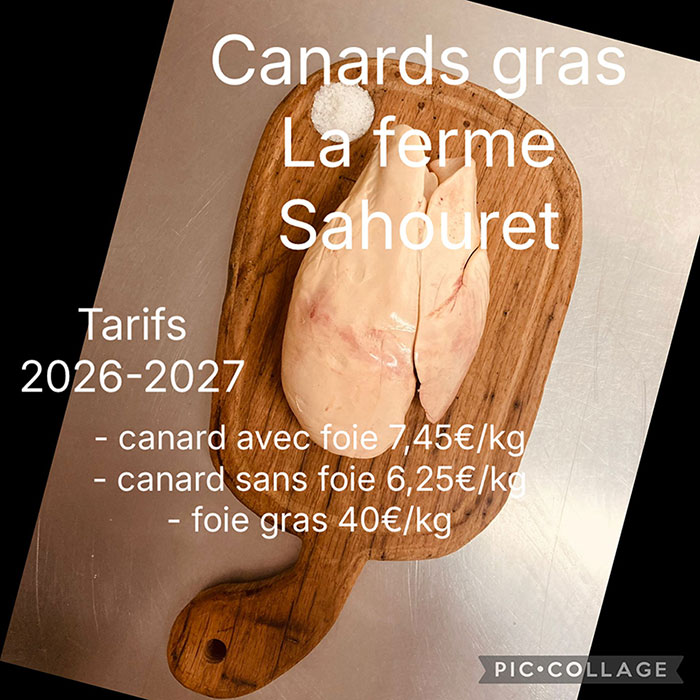 Saison des canards gras de la Ferme Sahouret - 2026-2027